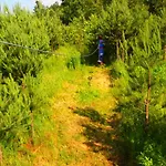 Séjour à la ferme Goscinne 