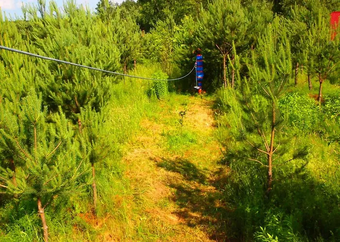 مزرعة للإقامة Goscinne 